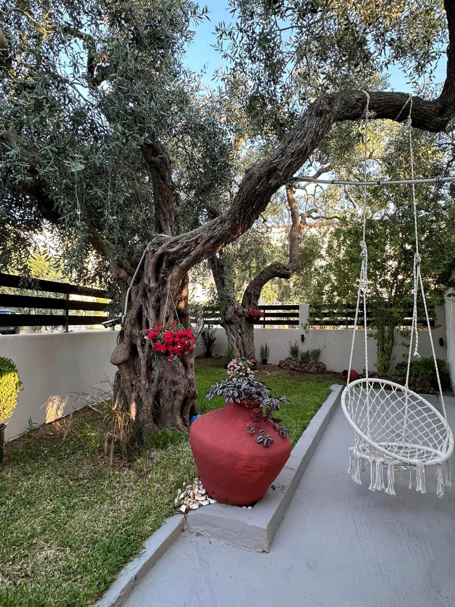Valia House Thassos Apartment Skala Kallirakhis Exterior photo